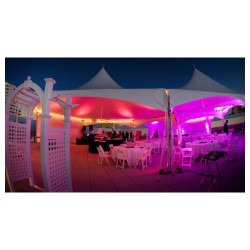 uplight rental tent 1735323707 1 Par 56 Corded Uplight Rental